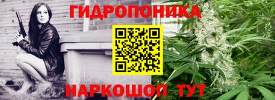 ПСИЛОЦИБИНОВЫЕ ГРИБЫ Апшеронск