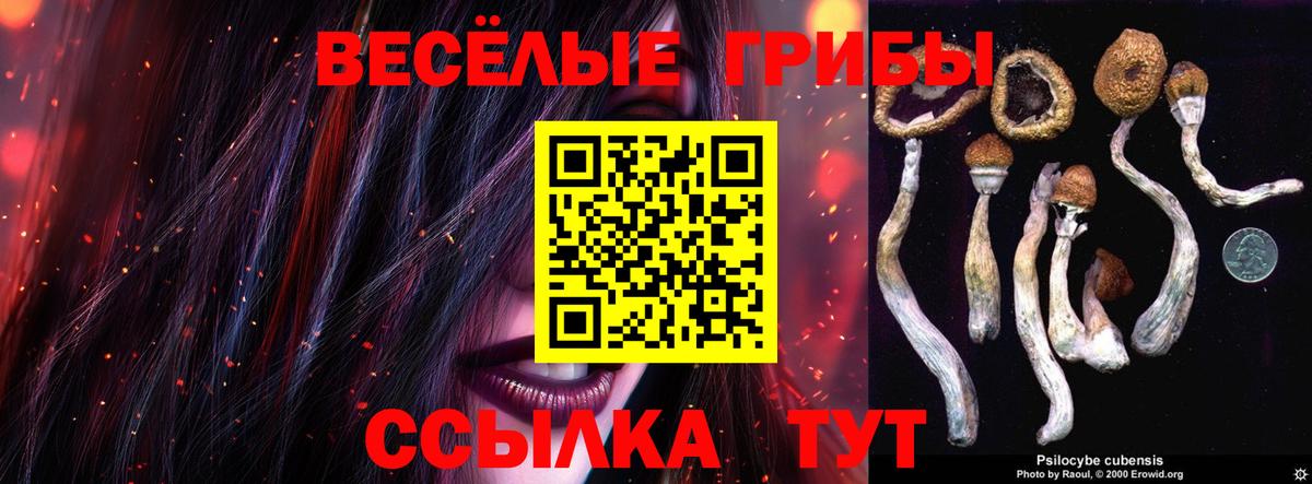 Псилоцибиновые грибы Psilocybe  Галлюциногенные грибы мицелий  Вход с VPN  Вышний Волочёк 