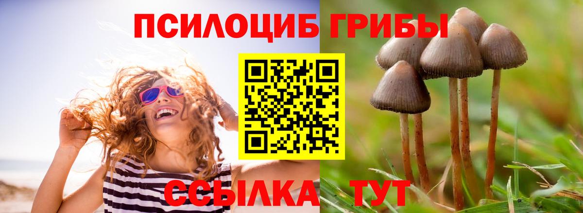 Галлюциногенные грибы мицелий Вышний Волочёк
